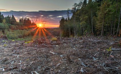 Most protected areas are isolated in a sea of human activities. Image: James Wheeler